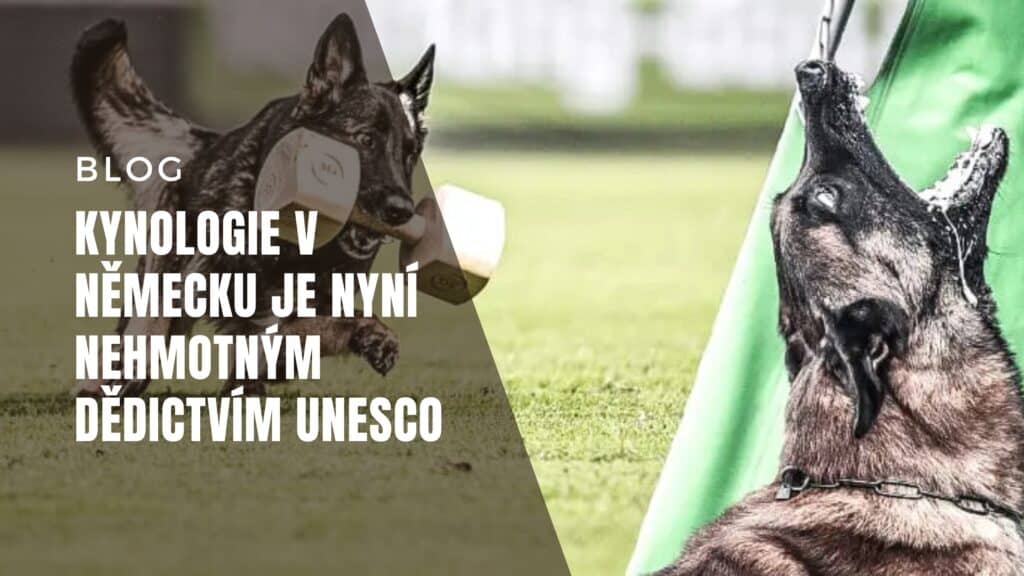 unesco