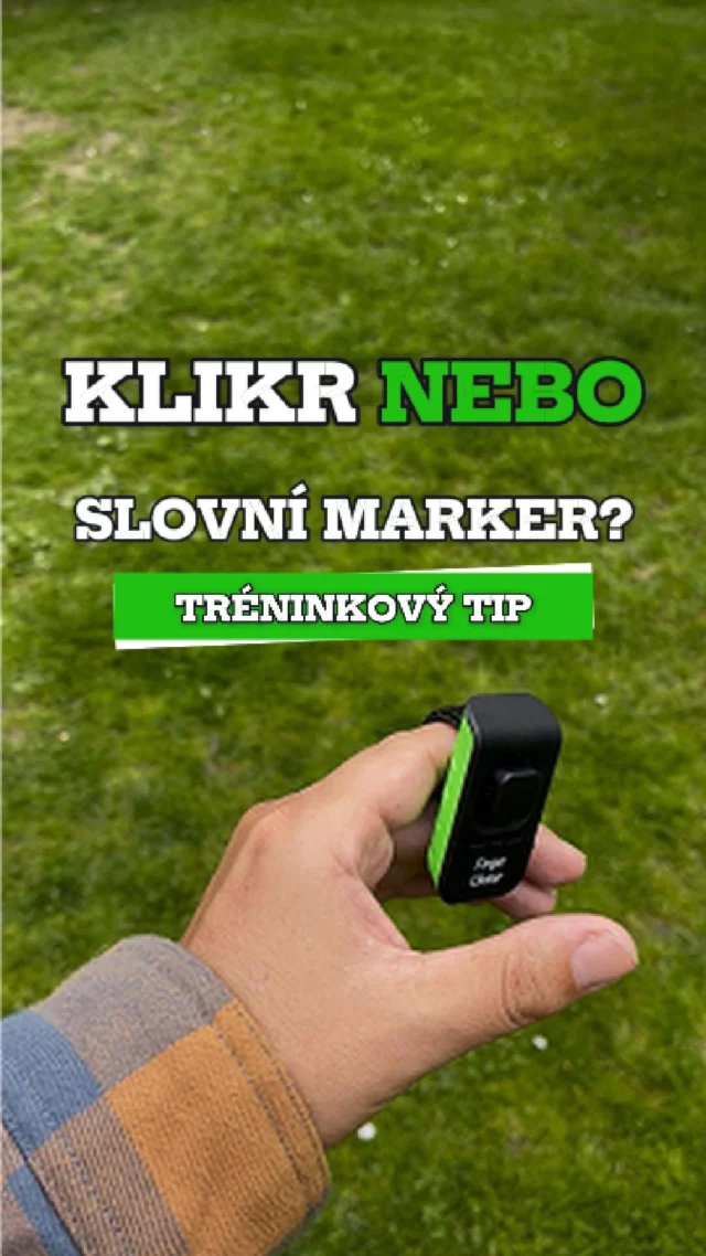 🖱 Proč klikr a ne slovní marker?

Jo, můžeš říct “jo!”, “šikulka!”, “yes!”…
Ale ani to nejlepší slovo nebude nikdy tak rychlý a přesný jako klikr.
Klikr neovlivňuje emoce, tón, náladu, počasí, hlasivky ani špatnej den.
Je to prostě jen klik – a pes přesně ví, že tohle bylo ono.

Ve videu rozebírám, proč je to důležitý a proč ten rozdíl dělá rozdíl.
A doporučuju i klikr, kterej sám používám – Finger Klikr, co máš přímo na ruce, nezavazí a neztrácí se.
👉 Mrkni na něj tady: eshop.arkak9.com/finger-klikr

👉 Chceš pochopit trénink do detailu? Mrkni na arkak9.com
❤️ Baví tě výcvik s hlavou? Dej like a sleduj, ať ti neuteče nic dalšího.

#ArkaK9 #VycvikPsu #NePoPo #ModerniVycvik #PsiVycvik #RealitaVycviku #TreninkNaMiru #PozitivniVycvik #DogTraining #Kynologie
#KlikrVsSlovo #FingerKlikr #PresnyTrenink #TimingJeVsechno #MarkerovyTrenink #KlikrTrenink #EduVycvik #PesToMusíVedet #TreninkSeSmyslem #TreninkBezHadu #PsiToMajRadi